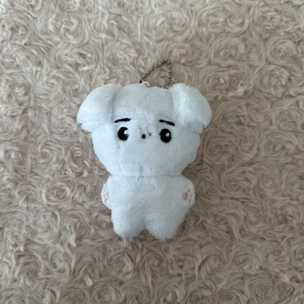 [USED] ENHYPEN Sung Hoon Doll