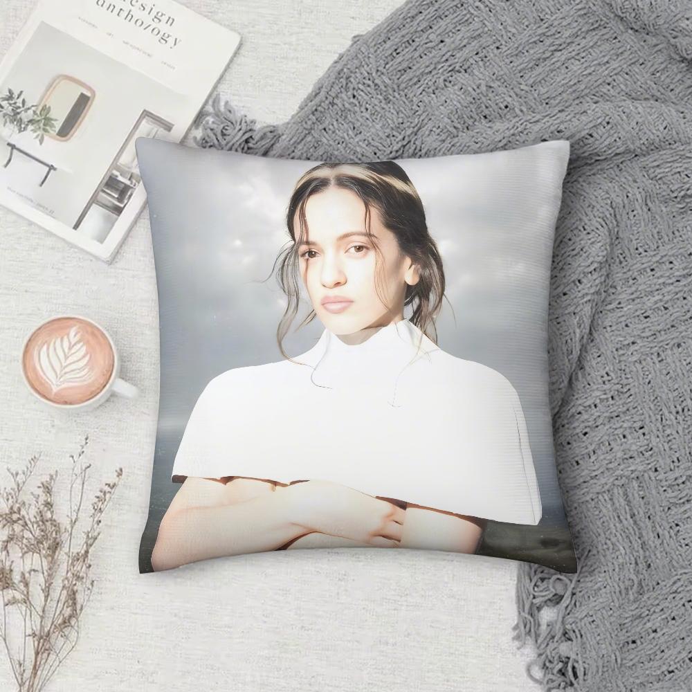 Singer R-Rosalia Lux Pillow Case Square Double-Sided Printing Short Plush Sofa Cushion Cover Bedroom Bedside Pillow
