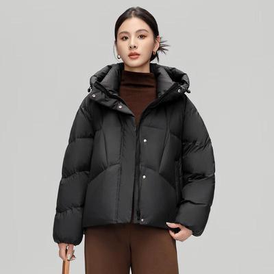 Women's 2024 Winter Short Hooded Down Jacket