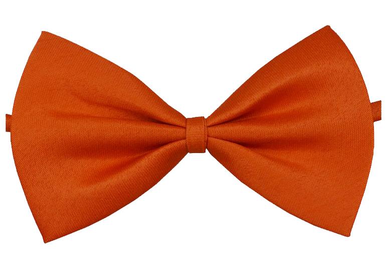 Ragazzo Ragazza Animale Domestico Papillon Papillon a Farfalla Monocolore Matrimonio Nuovo Regalo Papillon Accessori per Collo Novità CA44