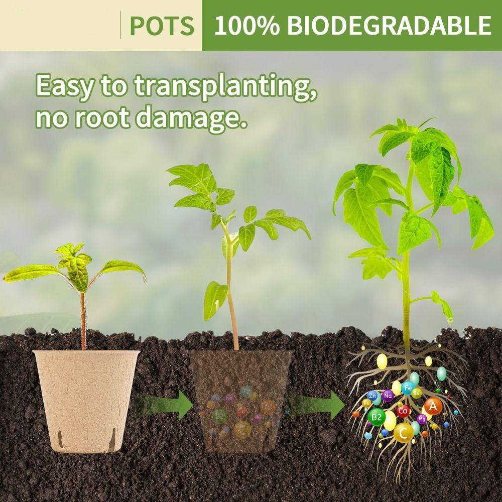 50PCS Biodegradable Plant Starter Pots with 50PCS Plant Labels Eco-Friendly Seed Starting Pots Organic Round Shape Peat Pots