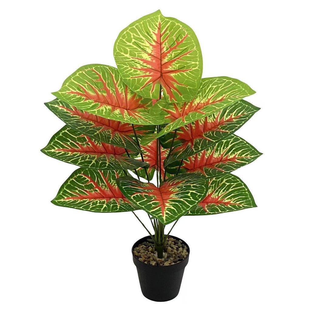 Indoor Floor-Standing Caladium Potted Plant: Realistic Artificial Green Bonsai for Home and Shop Display