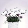 5 pcs Fake Glass Mini Automatic Watering Flower Pot Bird Self-Watering Device Travel Drip Irrigation System