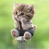 Yousheng 2D Acrylic Cat Bobblehead Bouncing Cat Decoration Cartoon Cat Ornament with Spring for Car Dashboard Desk Decor