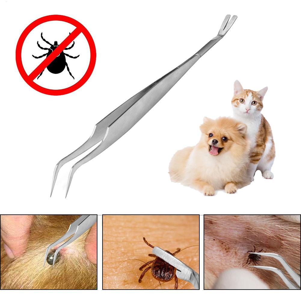 3Pcs Pet Flea Remover Beauty Insect Clamps Remove Lice Ticks Worms From Cats Dogs Cleaning Tools Care Accessories