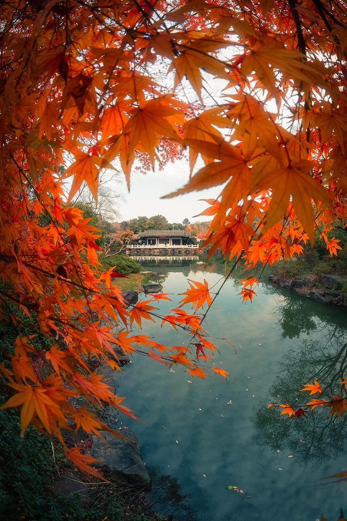 7Artisans II ED Z Mount Nikon Z Black Lens 7.5mm F2.8 FISH-EYE APS-C