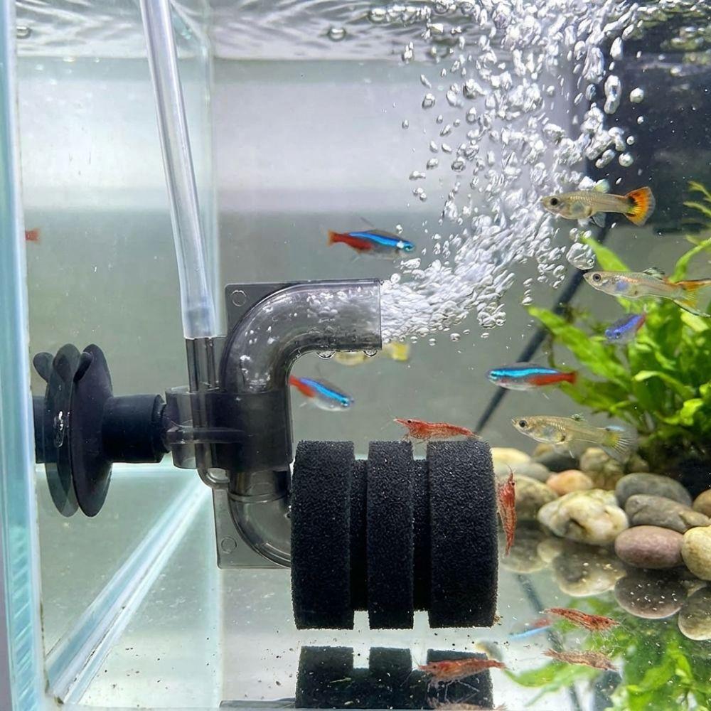 Increase Oxygen Aquarium Sponge Filter Suction Cup Air Driven Sponge Filter Biological Filtration