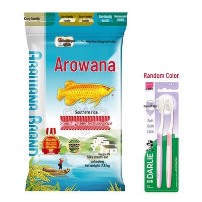 Ψάρια και θαλάσσια ζώα – Συντήρηση ενυδρείου