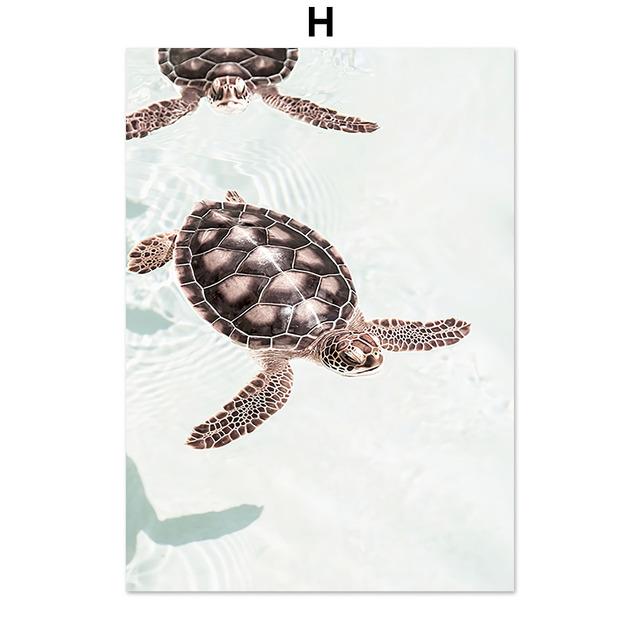 Nature Beach Reed Sea Conch Trail Landscape Nordic Art Wall Posters And Prints Canvas Painting Pictures For Living Room Decor