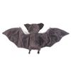 Cartoon Bat Plush Toy Animal Stuffed Doll For Birthday Gift