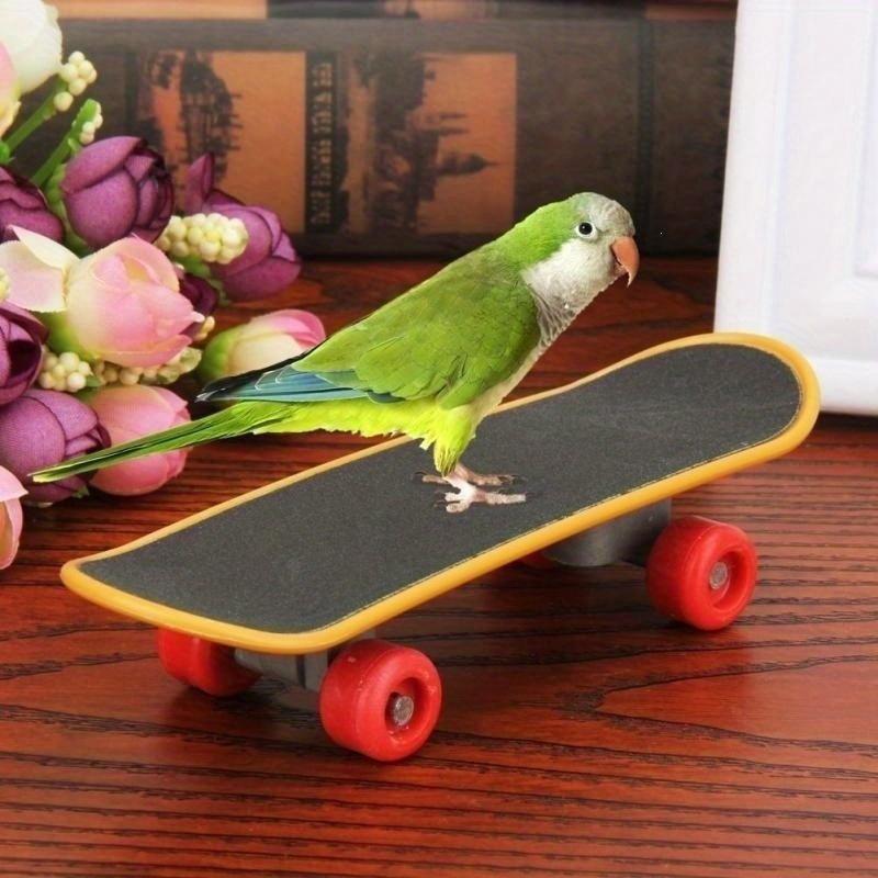 Bird Parrot Intelligence Toys Mini Training Skateboard Parakeet Growth Toy
