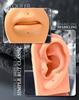 OUFER Body Piercing Titan 20G Lip Nose Piercing Stud 5681012mm Label Earring Jewelry Threadless Nose Bar Push-in Trague Conch Lobe Piercing Bar