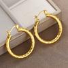 Fashion Simple Casual Trendy Gold Color Hoop Earrings For Women Girls Punk Originality Jewelry Accessories Birthday Party Gifts