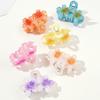Smooth Plastic Hair Claw Clip Fashion Hair Decoration Strong Hold Lightweight Hairpin Suitable For Students And Teens
