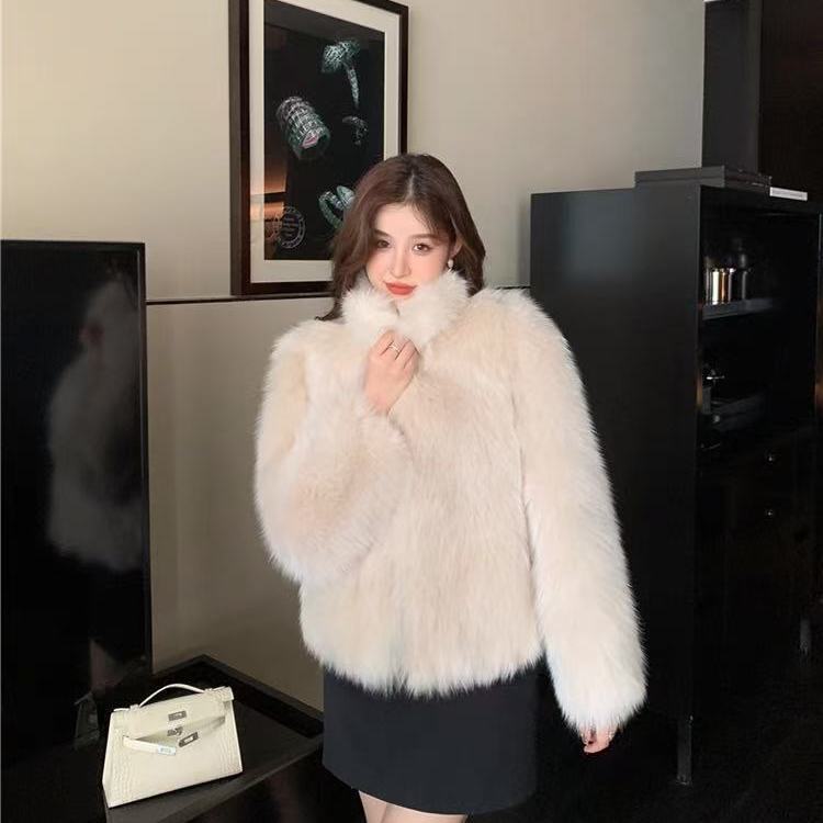 Winter New Environmentally Friendly Fur Stand-up Collar Jacket, High-end Fashionable Warm Thickened Plush Coat