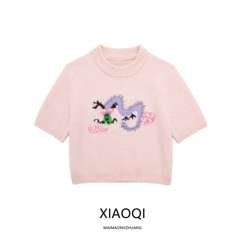 Fashion Style 2024 Spring New Arrival Women's Clothing Slim Looking Easiest for Match Embroidery Short Top Sweater 5755003620