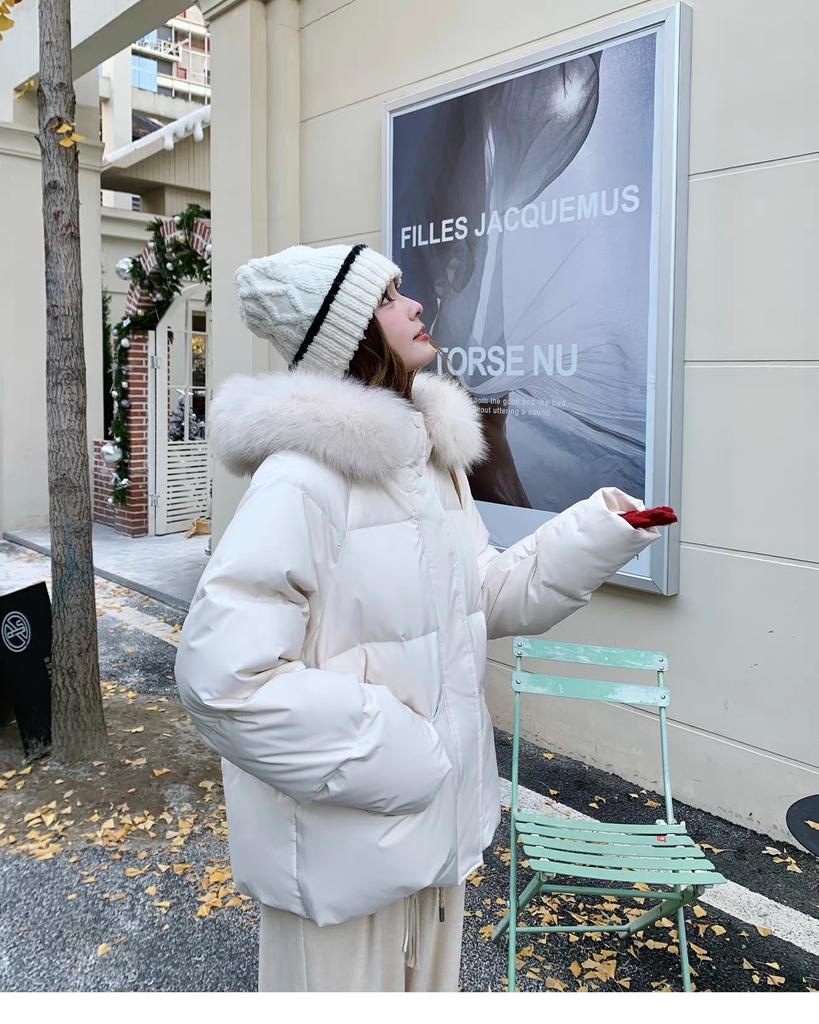 Big fur collar short down cotton clothes women's loose winter thickened cotton clothes down small hooded jacket
