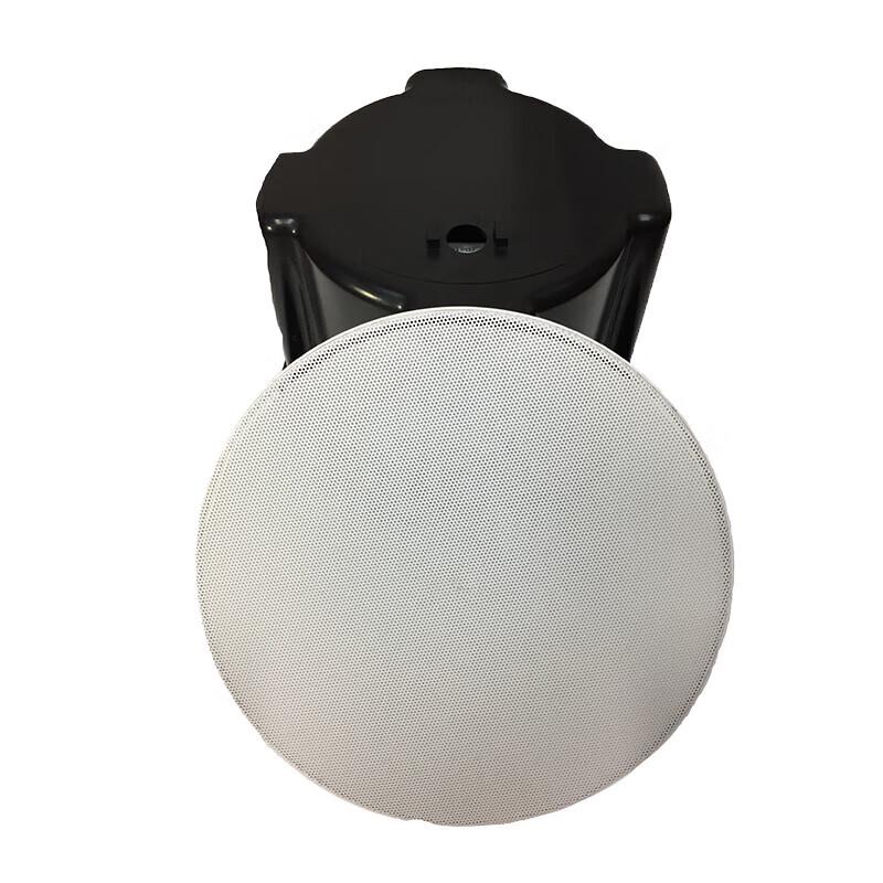 

Qinuo QN-K119 Ceiling Speaker