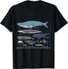 Types Of Whales - Huge Whale T-Shirt