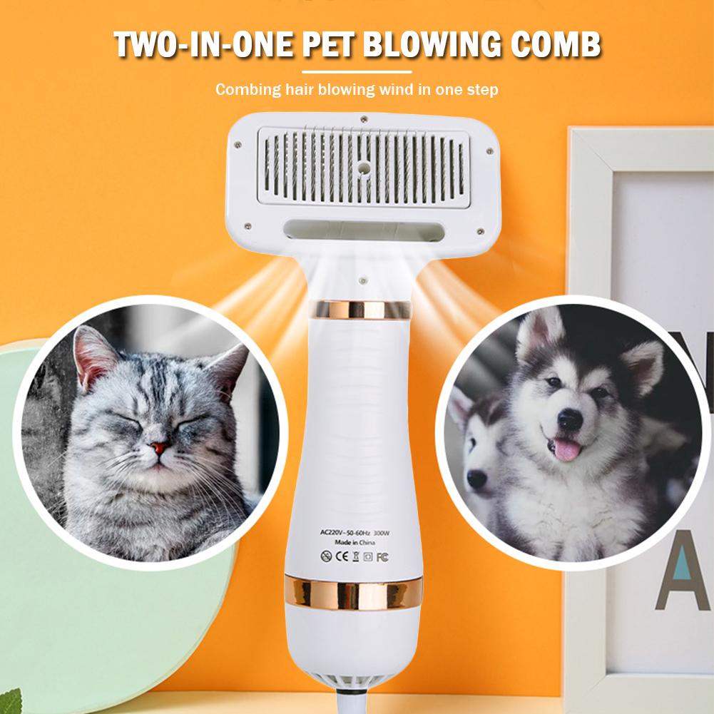 2 in 1 Dog Hair Dryer Comb Portable Pet Blow Dryer Comb Adjustable Temperature Cat Grooming Brush for Small Medium Big Dogs Cats