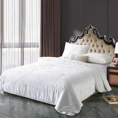 Mulberry Silk Summer Quilt