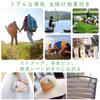 MTDDYMXLFG Onyanma-kun Insect Repellent Dragonfly-kun Insect Repellent Goods Insect Repellent
