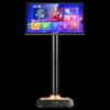 SAST Professional 22-inch Smart KTV Karaoke System CN Plug (adapter Included)