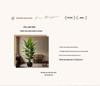 Luxurious Indoor Bionic Bird of Paradise Faux Plant
