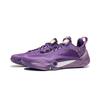 Li Ning Cushioning Abrasion Resistant Low Top Basketball Shoes Men's Zircon Purple ABAW011-11