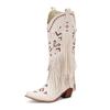 Fashion Retro Tassel Embroidered Cowgirl Mid-Calf Women Western Boots Pointed Toe Chunky High Heel Cowboy Cool All-Match Shoes