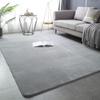 Modern Simple Style Thickened Non-Slip Coral Fleece Carpet for Living Room & Bedroom