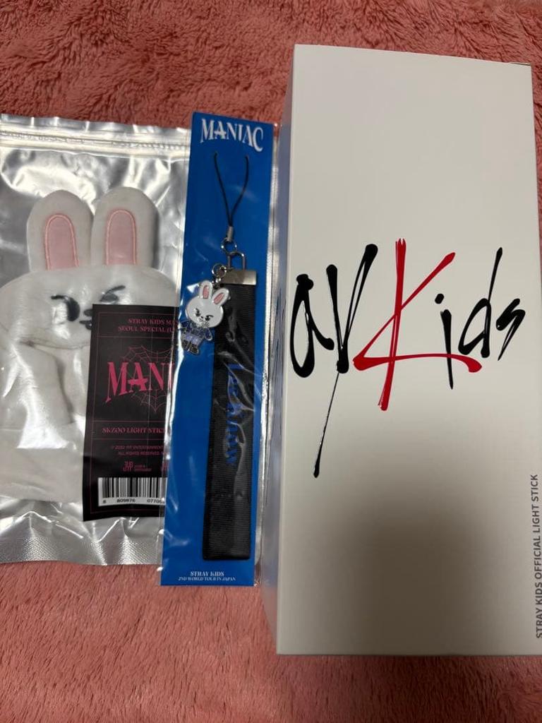 [USED] StrayKids Penlight Ver.1 with Levit cover and strap