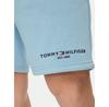Шорты спортивные Tommy Hilfiger Logo