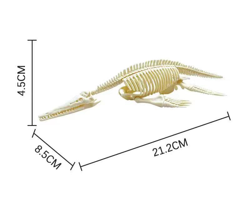 DIY Triceratops Dinosaur Fossil Model for Kids - Archaeology Assembly Toy