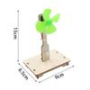 Wind Power Circuit Physics Windmill Teaching Desktop Ornament Educational Kids