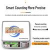 Zhi Shi H2 Multifunction Electronic Counting Scale