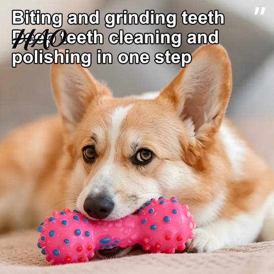 Oral Health Care Dog Toys Squeaky Dumbbell Toy, Vinyl Chew Spiky Teeth Safe Non-Toxic Cleaning Toy for Small Large Dogs Interactive Play Bright