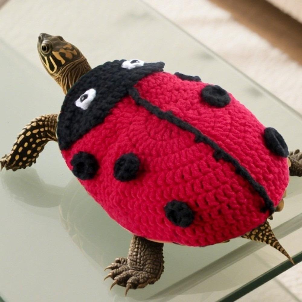 Frog Turtle Sweater Cartoon Pet Turtle Outfit Funny Pet Tortoise Clothes Tortoises Supply