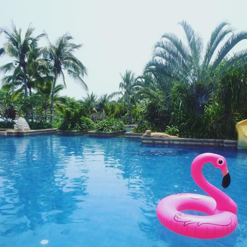 High-Quality 90cm Fire Crack Bird Inflatable Swimming Ring for Kids