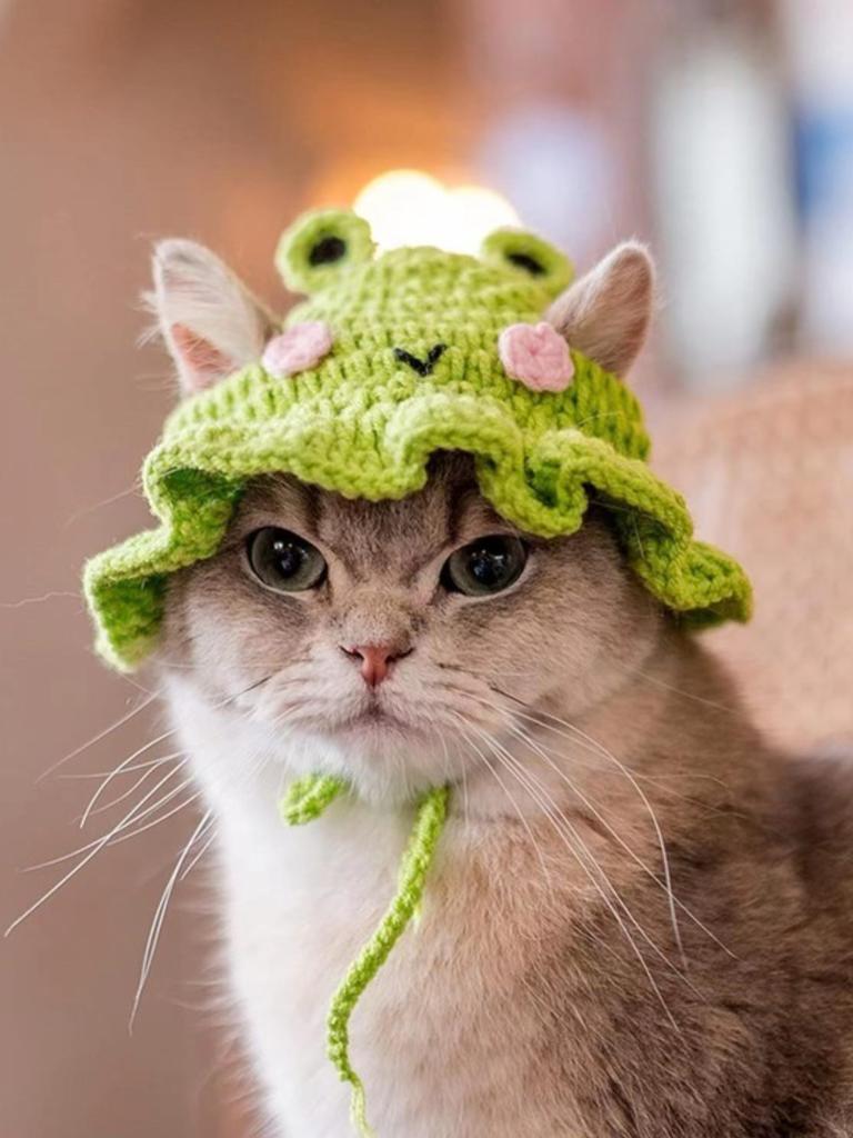 Hand Hook Knitted Pet Knitted Headset Pet Cosplay Props Headwear Funny Transformation Dress Cartoon Animal Flower Hat