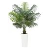 Artificial Areca Palm Tree 1524 Mm, Fake Palm Tropical Plants with White Tall Planter, Faux Floor Silk Plant In Pot, Large Trees for Home Office