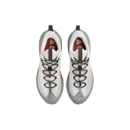 Nike ACG Mountain Fly 2 Low GORE-TEX 'Phantom Light Silver'  Unisex HF6245-003