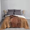 Lainey Wilson - Country's Cool Again Porträt-Decke Weiche Flanell-Kuscheldecke Plüsch für Bett Wohnzimmer Picknick Reisen Sofa