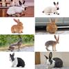 TOYMANY 12PCS Rabbit Figurines Animal Figurines Rabbit Models Realistic Animal Models Popular Animal Toys