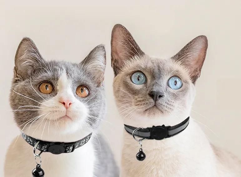 Collier pour chiens et chats avec une clochette et un réflecteur, réglable, solide, résistant, universel, PetJet