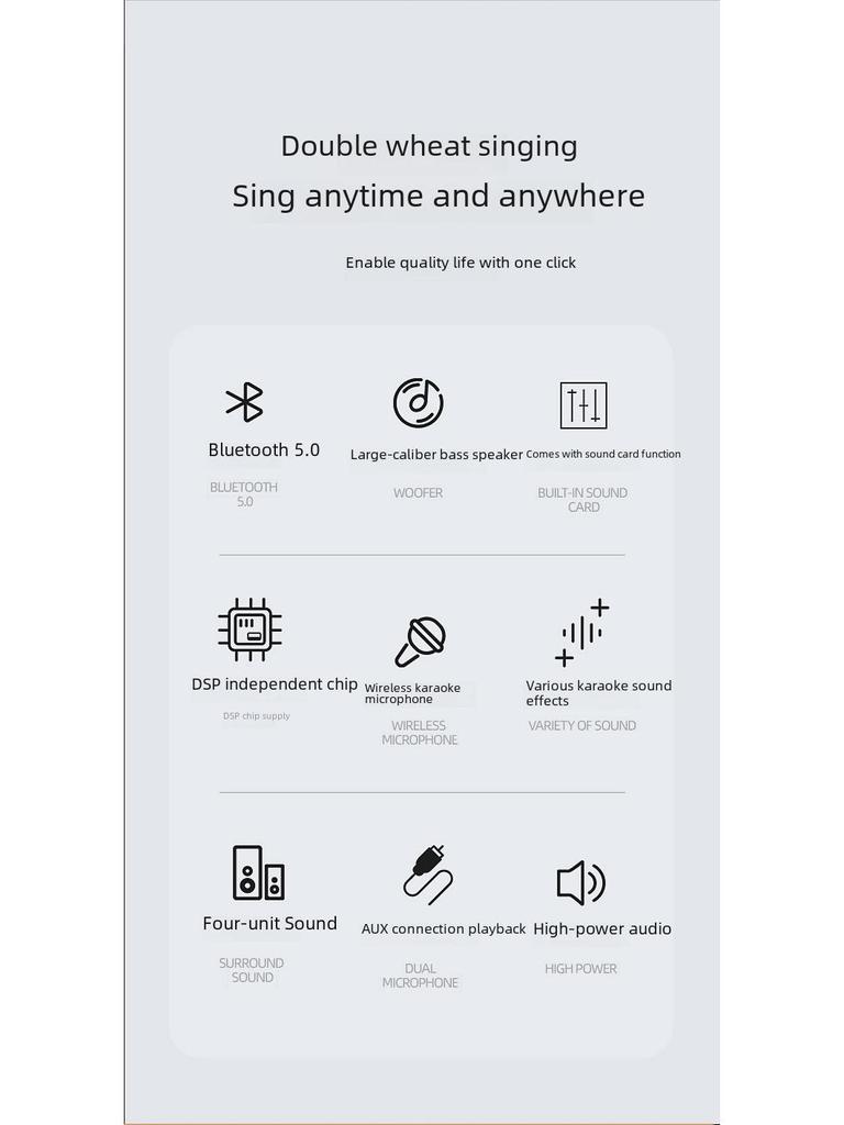 YS203k Bluetooth Karaoke Speaker with Wireless Microphone and Subwoofer