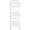 Hairdressing Cosmetic Assistant for the Salon St019 Universal Trolley Table Cabinet On Wheels with Three Shelves and a Drawer