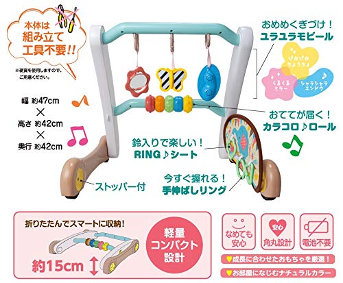 My Baby Is the Best In the World Smart Educational Gym & Walker