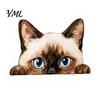Cute Cat Theme Room Decor Shelf Sitter Ornament, Wooden Peeking Kitten Figurine, Desk 2D Flat Decorative Statue for Desktops And Bookshelves