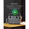W-King T16S Portable K-Song Bluetooth Speaker